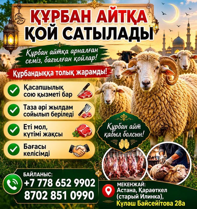 Құрбан айтқа қой сатылады