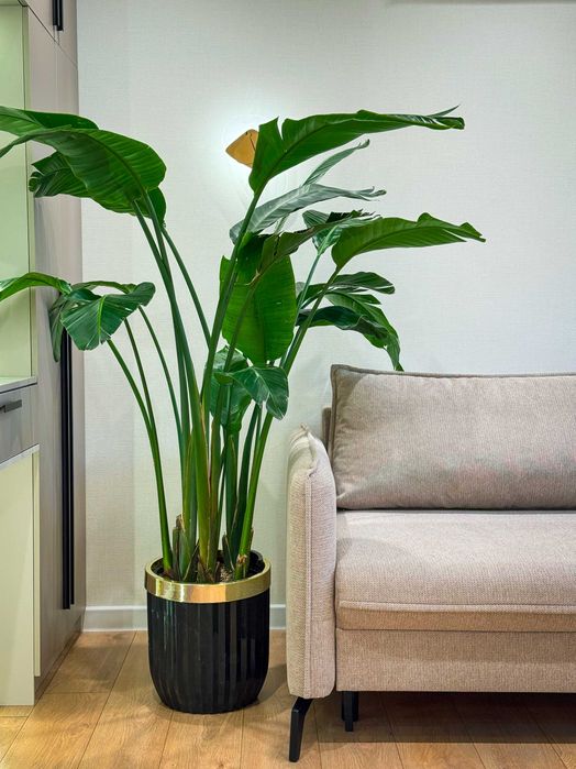 Метро Космонавтов 2 ком 30м² новый ремонт кирпичный дом