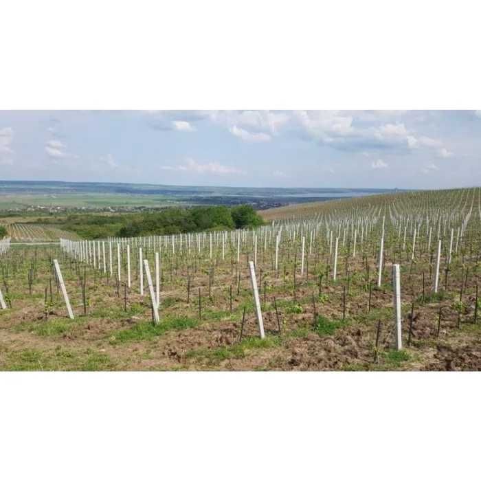 Stalp de gard, beton armat, gri, dreptunghiular