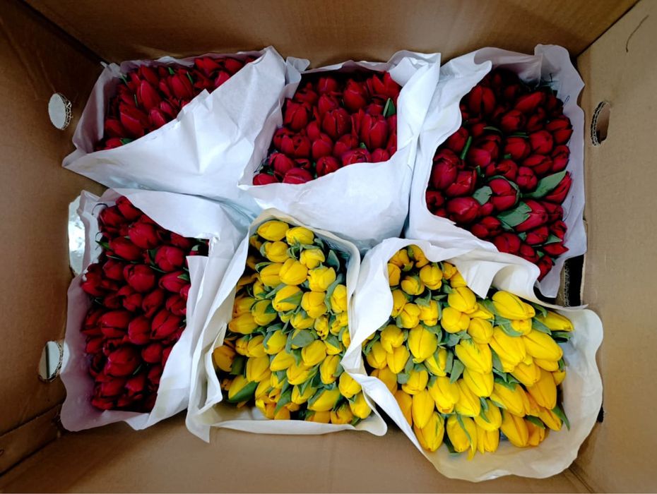 Тюльпаны с доставкой
