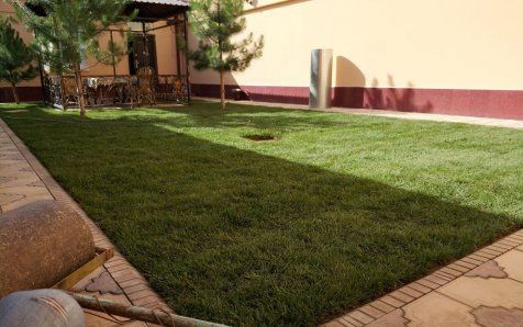 Тайор газон рулонный (установка поливочного системы)