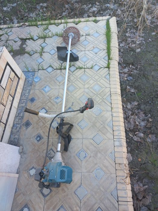 Маторли ут ургич йанги