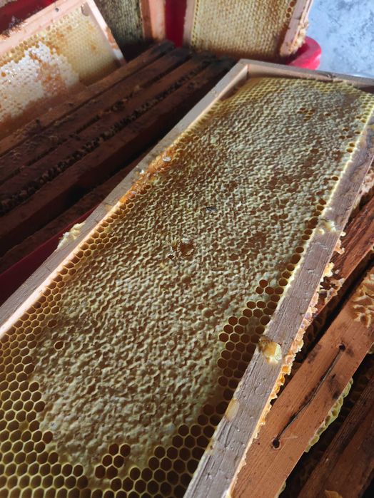 Miere 100% naturala poliflora