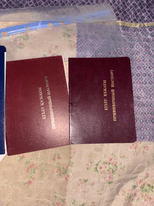 Нашли документы девушки