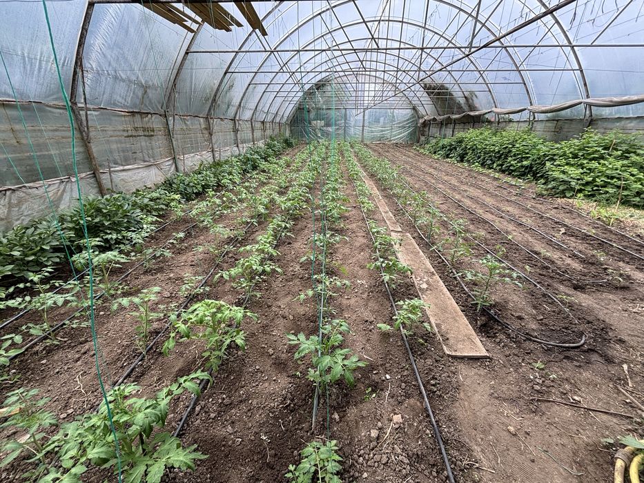 PROMOTIE!! Solar 300m - arcade solar 10x30m