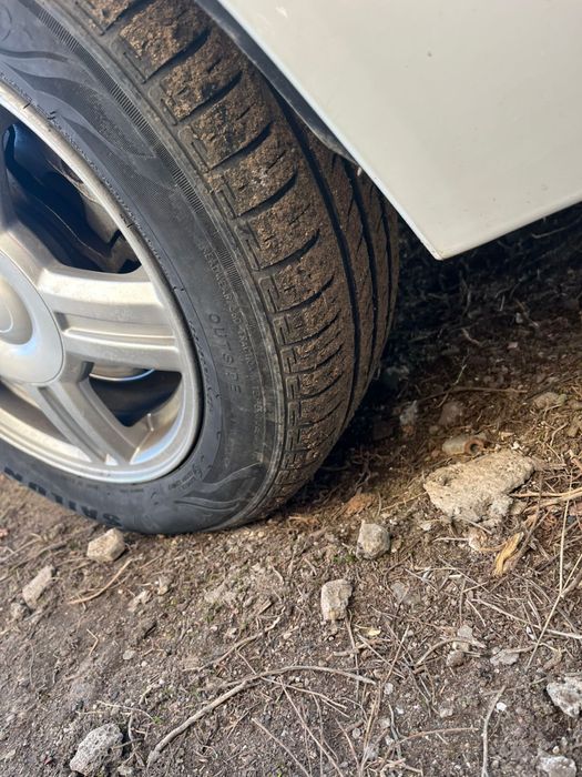 Торус 14 лето Torus R14