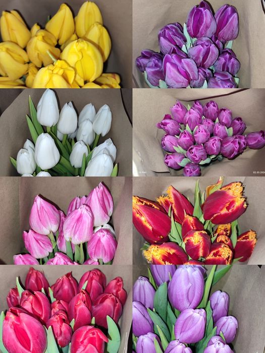 Продаю тюльпаны есть доставка