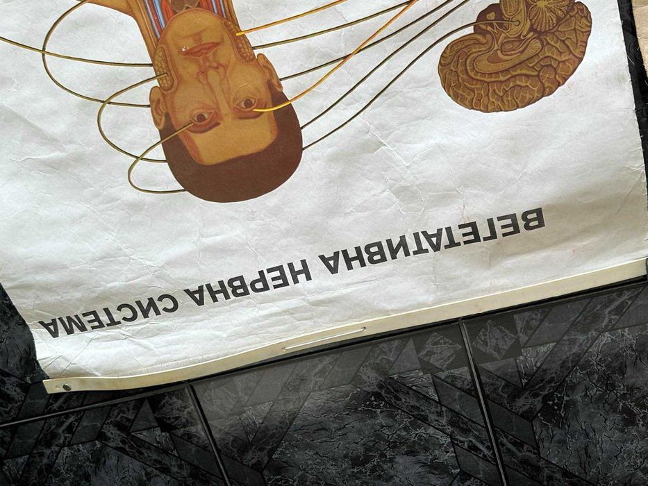 Соц Учебни Медицински Плакати Постери Табла