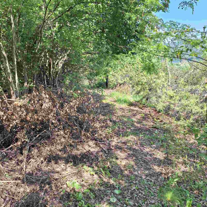 Поддръжка и почистване на зелени площи/Косене на трева