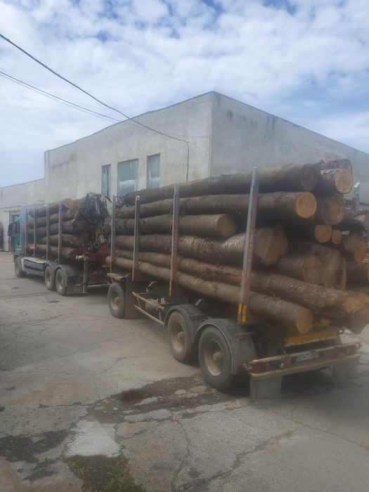 Cires cherestea uscata 8-10% netivita de 27 și 50