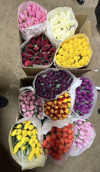 Тюльпаны оптом и в розницу