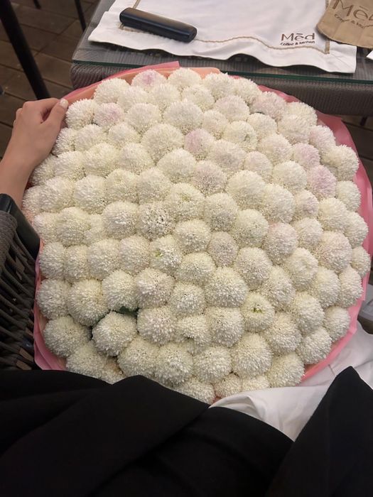 Цветы момоко 101 штука.