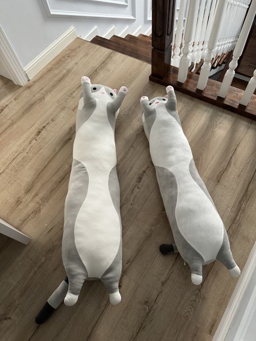 Кошки новые подужки