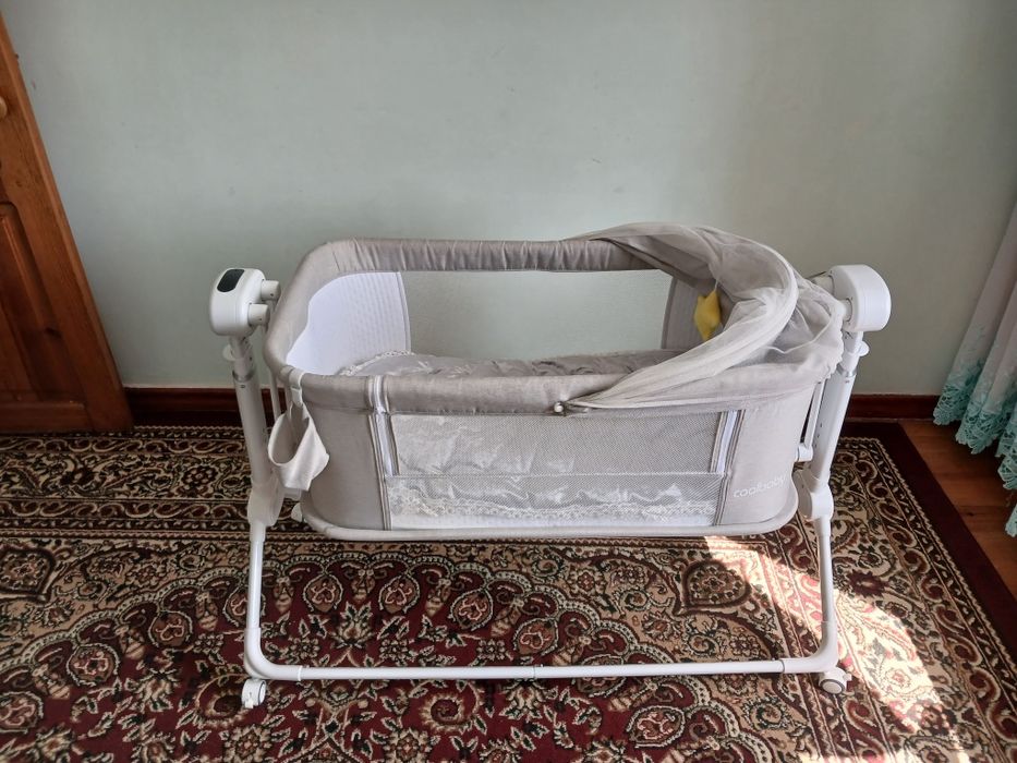 Tebranadigan beshik (belanchak)