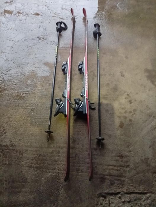 Schiuri in stare buna