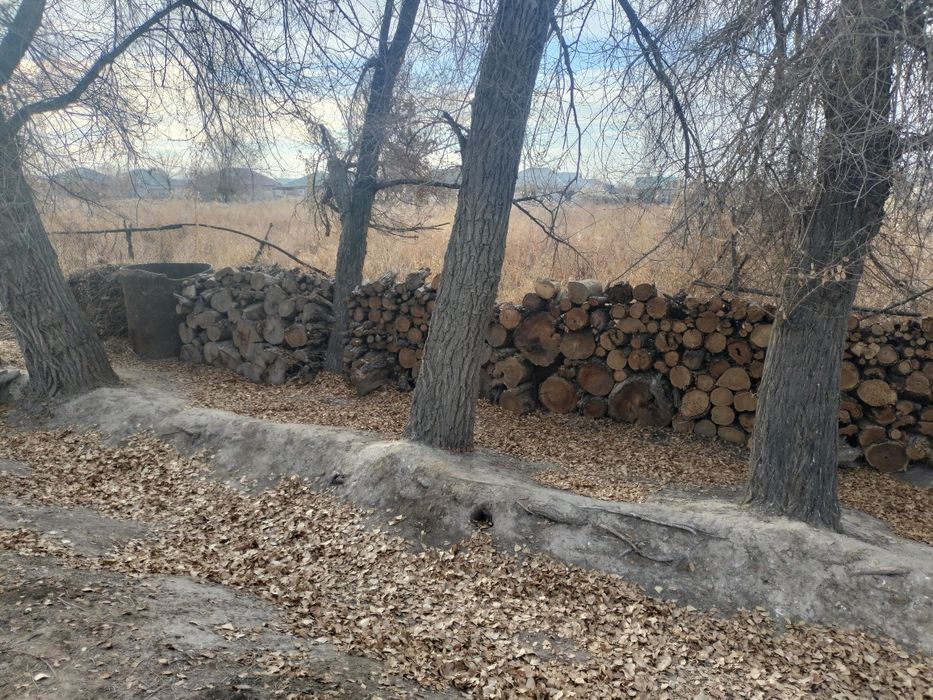 Продаётся дрова для топки.Отын Сатылатын