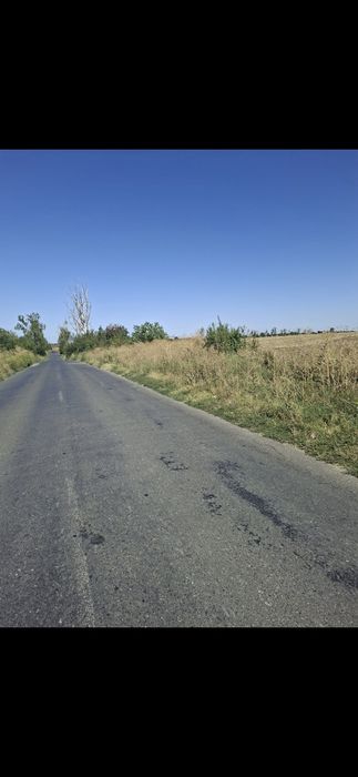 Teren de vanzare frumusani
