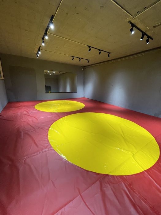 Ковер борцовский (12*12)