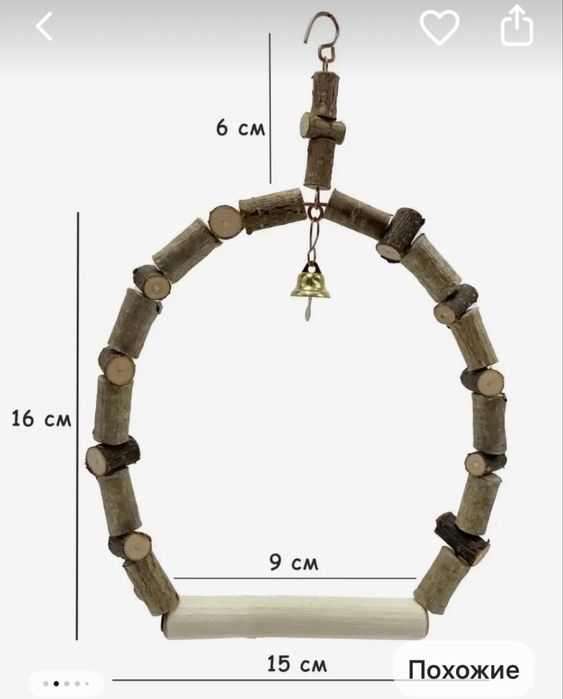 Попугай девочка со всем что надо