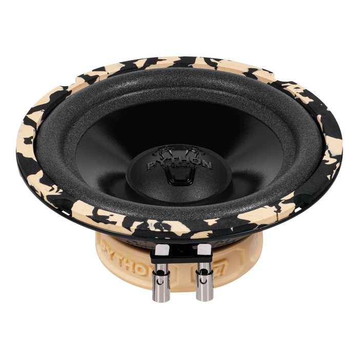 Python 165 comp DL Audio