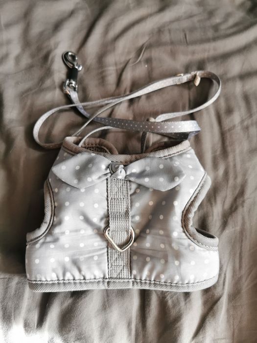 Кучешки дрешки и стоки