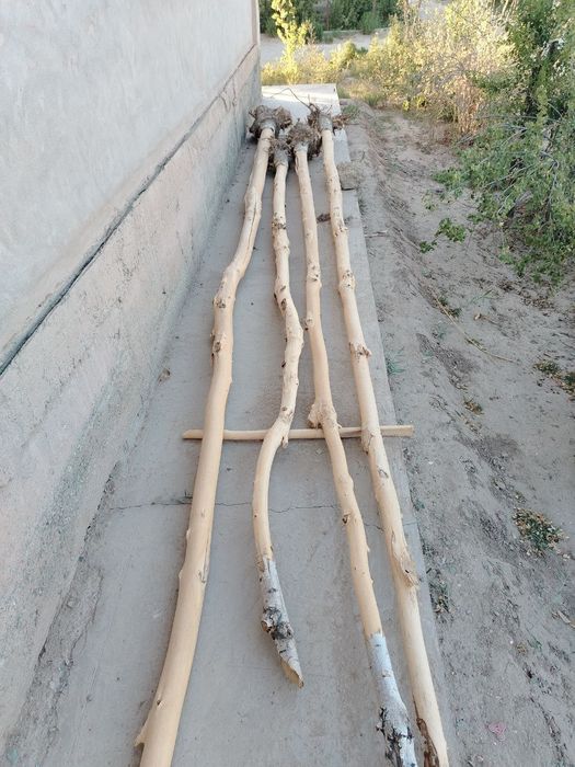 Сатылады алатынлар хаварлассын