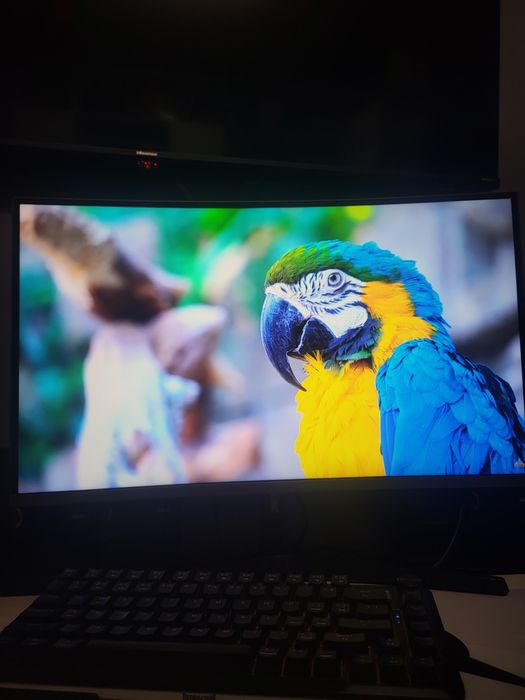 Monitor Samsung QWHD 144hz