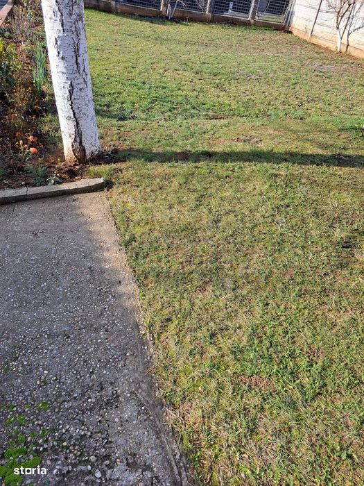 Casa Oncea P+M, 2 dormitoare, bucătărie, living, 2 băi, teren 1.306mp