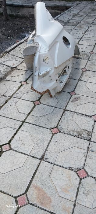Cheri arizo6pro orqa krilo ung tamon
