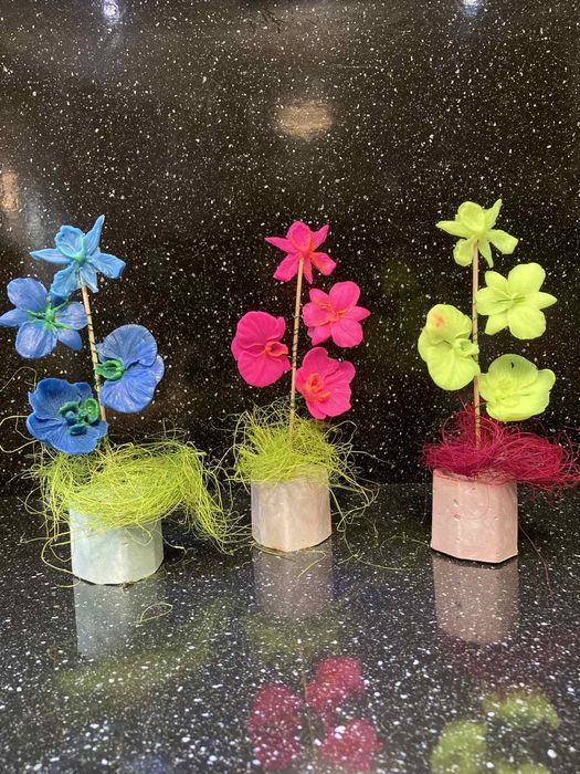 8-ми Март.Сапунени Орхидеи