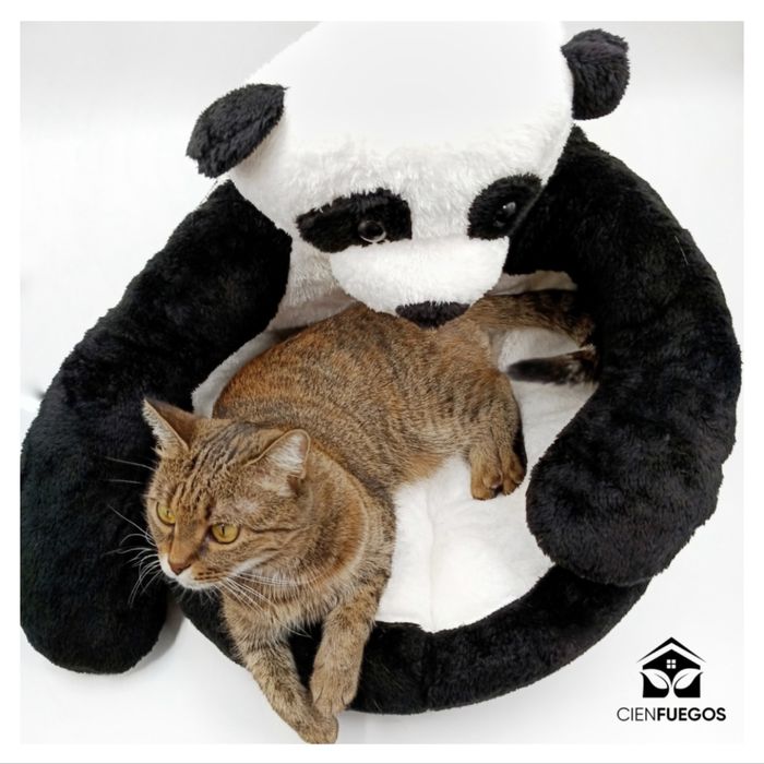 Лежаки, домики для животных