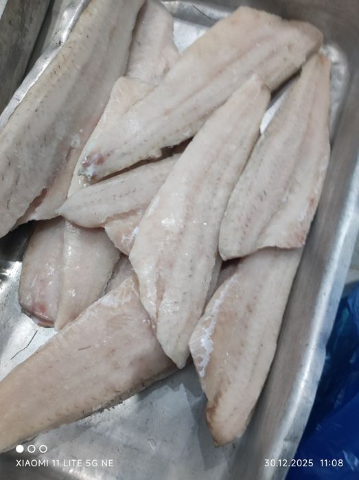 Судак,филе судака