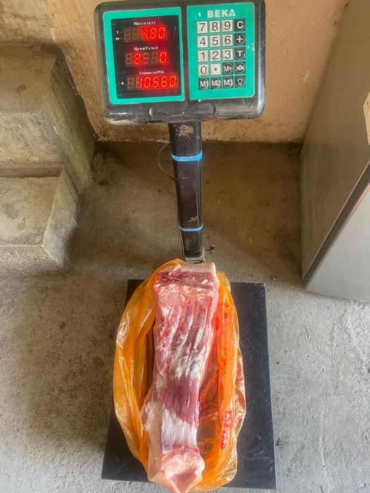 Продам свинину молодую