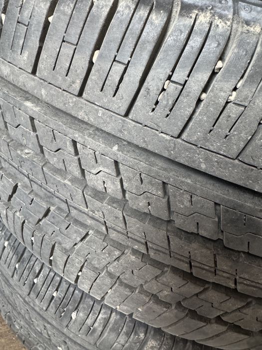 Шины Dunlop 225/55/R19