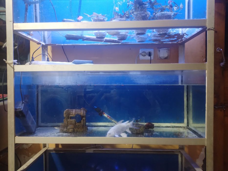 Акварюм стеллаж 120 л