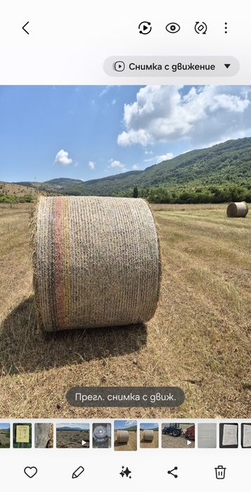 Рулонни бали сено