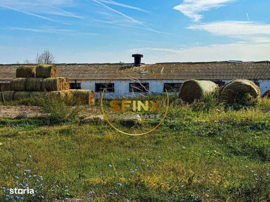 Teren intravilan cu potential de investitie 62000mp