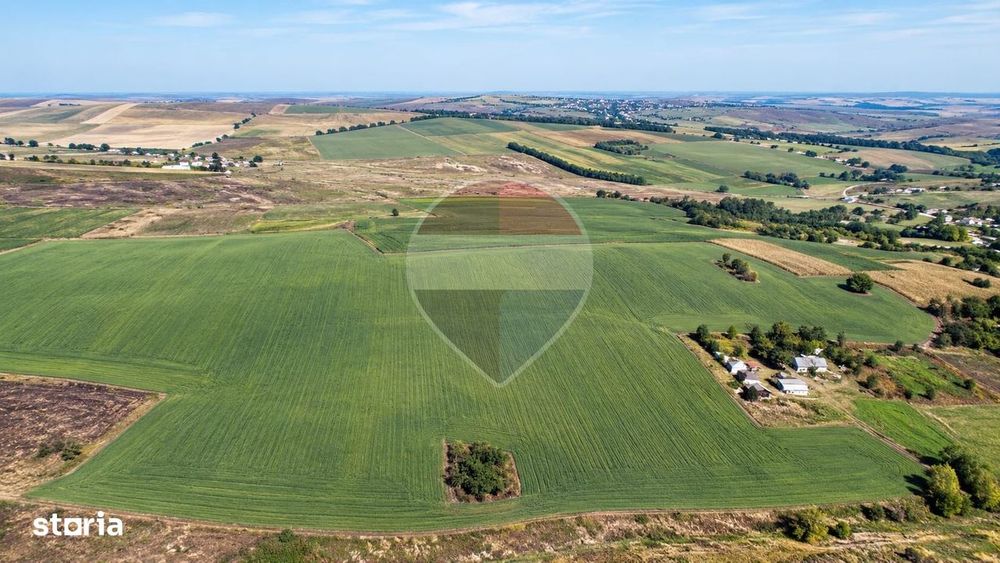 Teren De 10.18 Hectare, Compact, Buzeni/Bt,