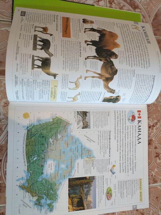 Интересна илюстрована семейна енциклопедия