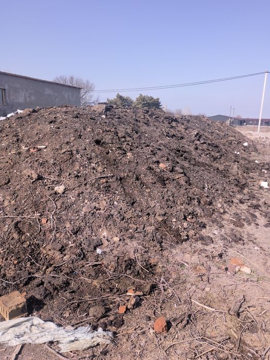 Перегной  навоз многолетний