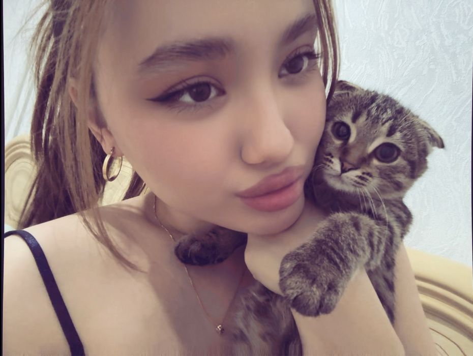 Кот вислоухий, годик,