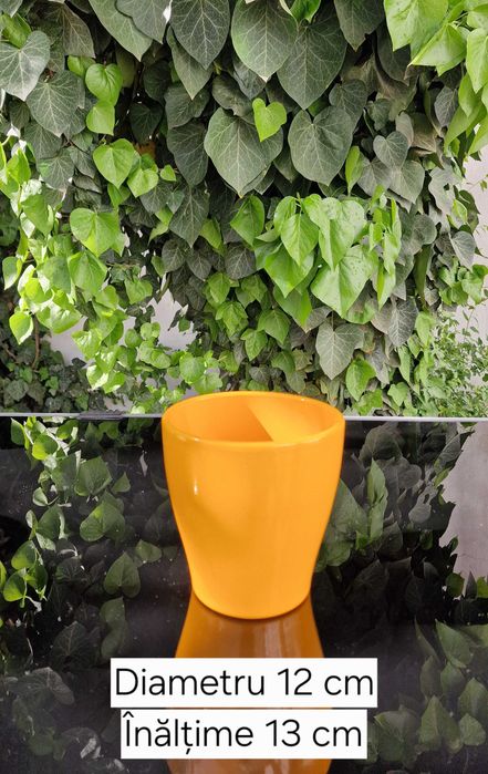 Set Ghivece decorative moderne | Ceramica | culoare pentru plante