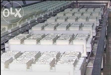 Vindem cheag natural de ied sau de miel