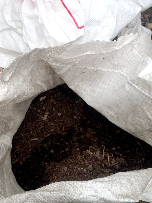 Biogumus     òģiti