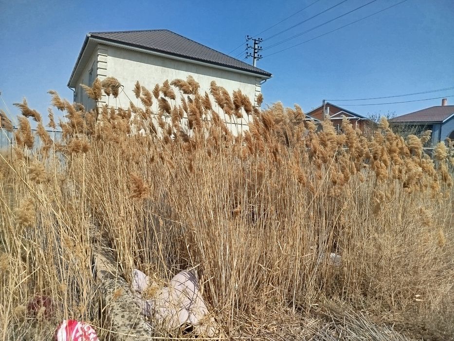 Уборка территории Покос травы .