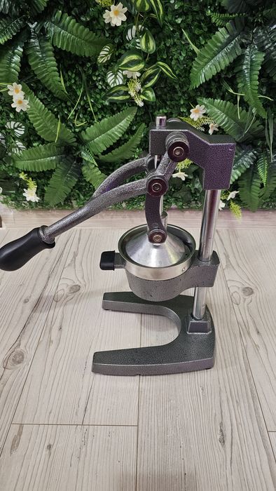 Storcător profesional de fructe