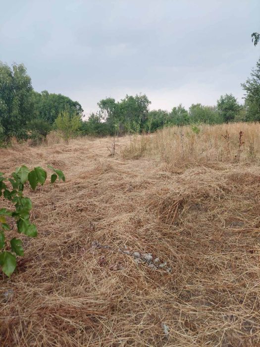 Продава се Къща в с. Винище, Област Монтана - 1800 кв.м за 7 €/кв.м - Снимка #4