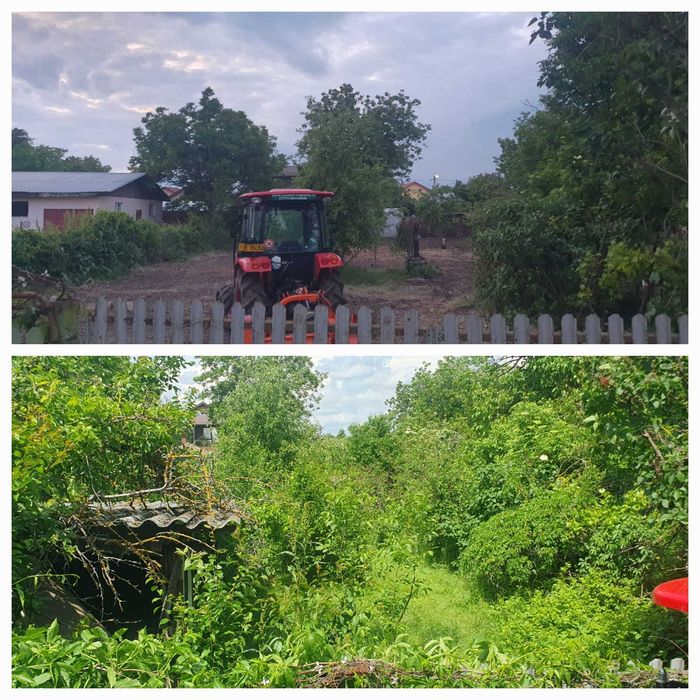 Igienizare, defrisare, curatare terenuri, vegetatie, ambrozie