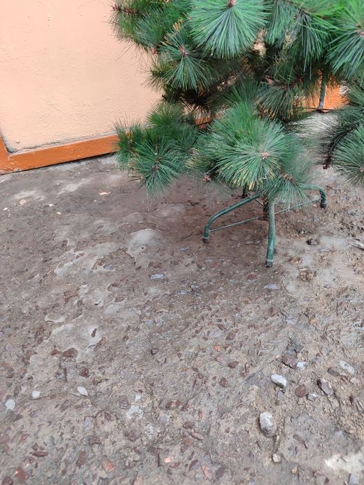 Ёлка синтетичечсая