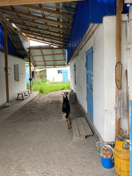 Продам дом с большим участком